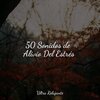 Relajante Academia de Música Zen、Natureza、Musica Meditaction - Danza De Cuna