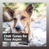 Music for Dog's Ears - Maybe This Pup?