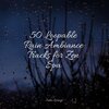 The Relaxation Principle、Alpha Waves、meditacou musica ambiente - Ocean, Shore, Sparrows