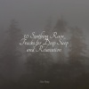 Childrens Music、Kings of Nature、Relaxing Music - Rain, Wood, Forest