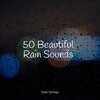 Nature Sounds for Concentration、Lluvia PQ、Lullabies for Deep Meditation - Tropical Forest, Subtle Stream, Animals