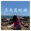 沐轩、王志鹏Music - 月亮惹的祸 (DJ版)