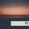 林宇墨 - 体面