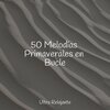 Massagem Coleção de Músicas、Meditar Profundamente、Zona Música Relaxante - Canción De Lluvia Con Ventisca