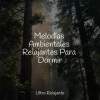 Sons da Natureza & Relaxamento、Massagem Música、Meditação Yoga - Encontrar La Paz