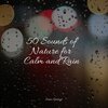 Natural Rain Sounds for Sleeping、Sleep Songs with Nature Sounds、Sleeping Music - Rainy Sunrise Forest Ambience