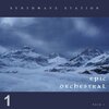 Synthwave Station - Great Mountains