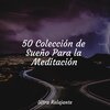 Meditación Guiada、Meditacao Clube、Academia de Meditação Buddha - Mirar Fijamente A La Niebla