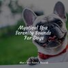 Music for Dog's Ear、Music for Pets Library、Music for Leaving Dogs Home Alone - Starting Today