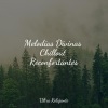 Música Zen Relaxante、Meditacao Clube、Master Meditação - Árboles En El Bosque