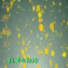 郭玲、陈咏 - 幸福爱河