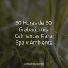 Ambiente、Meditación Maestro、Masajes Spas - El Palacio De La Sirena