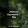 Piano Suave Relajante、Massagem Guru、Meditação Zen - El Viento De Verano Sopla