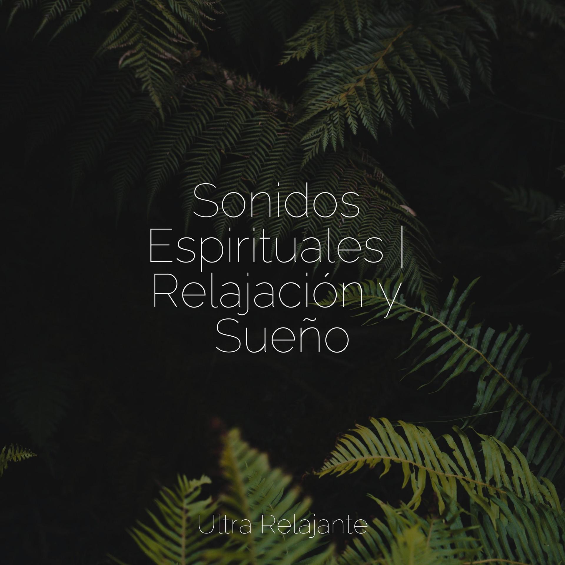 Musica Relajante Para Estudiar、Piano para Relajarse、Natureza Musica Bem-Estar Academia - Armonía