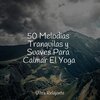 Massagem Guru、Música para Dormir Con Relajantes Sonidos de la Naturaleza、Musica Para Dormir Bebes - Domingos Perezosos