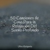 Dormir Sol、Musica Para Dormir、Sons da Natureza & Relaxamento - Viajes Relajantes