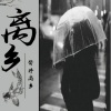 左玉林 - 离乡