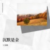 丁艺新 - 沉默是金 (丁艺新 remix)(Remix)
