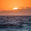 Birds Above Water、Dog Relaxing Zone - Symbiosis of Soul and Mind