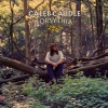 Caleb Caudle、Jerry Douglas、Sam Bush、Carlene Carter、elizabeth cook - I Don't Fit In