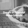 High Altitude Samples - Dream in Peaceful Sleep Sounds, Pt. 1