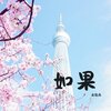 文筱芮 - 如果