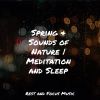 calm shores、Tranquil Music Sound of Nature、Alpha Brain Waves - Sonic Cradle