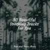 Asian Zen Spa Music Meditation、Study Zone、Sleep Sounds of Nature - Sunny Morning