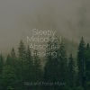 Massage Music、Yoga Workout Music、The Sleep Helpers - Self Improvement
