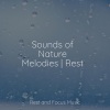 Monarch Baby Lullaby Institute、Binaural Beats Brain Waves Isochronic Tones Brain Wave Entrainment、Happy Baby Lullaby Collection - Over the Stars Gazing