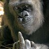 Willy D、BAUER - We Don't Give A **** (feat. Bauer)(Explicit)