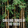 Nature Relax、Lullaby Music、Complete Spa Music - Icy Soothing Harmony