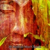 Meditation Guru - 冥想以适应
