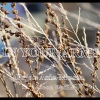 Gideon Walker、Fajar Asia Music、Donna Sebastian - In Your Arms