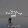 Deep Sleep Systems、White Noise For Baby Sleep、Mindfulness Meditation World - Forest Magic