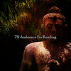 Asian Zen Spa Music Meditation - Blooming Memories