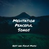 Massage Therapy Music、Study Zone、Bedtime Baby - Aura Cleanse