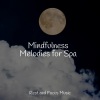 Classical New Age Piano Music、Massage、Monarch Baby Lullaby Institute - Fly Away