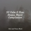 Relaxing Music Therapy、Relax Meditation Sleep、Study Zone - Beauty Essence