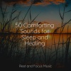 Baby Sweet Dream、Yoga Workout Music、Academia de Meditação Buddha - Nightingale