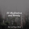 Massagem Coleção de Músicas、Alpha Brain Waves、Music For Absolute Sleep - Tibet Odyssey