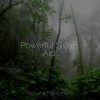 Childrens Music、The Sleep Helpers、Preschool Kids - Pleasant Pickings