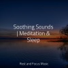 Avslappning Sound、Studying Music、Deep Sleep Meditation - Letting Everything Go