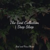Deep Sleep Music Academy、Sleepy Night Music、Best Kids Songs - Effervescent Happiness