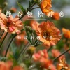 疗愈音律 - 你说想要远行
