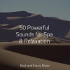 Alpha Brain Waves、Relaxed Minds、Meditation - Tender Snowfall