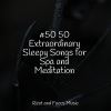 Easy Sleep Music、Tranquility Spa Universe、Mindfulness Meditation Universe - Waves Lapping the Shore