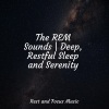 Sleep Music、Ambient Music Therapy、White Noise Sound Garden - Reverent Peace
