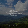 Childrens Music、Yoga Workout Music、Classical New Age Piano Music - Softly Whispered