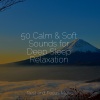 Musica Reiki、White Noise For Babies、Deep Sleep Meditation - Across Nights, Beyond Days